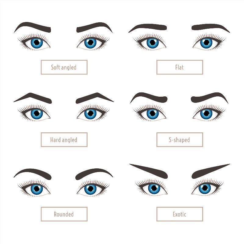 How To Match Your Eyebrow Shape To Your Face Shape The Eyebrow